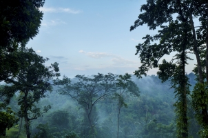 Amandari - Suite View