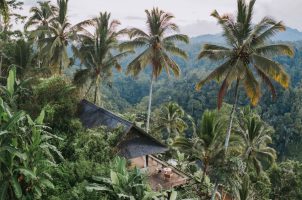 Buahan, a Banyan Tree Escape