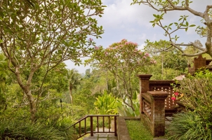 Bali COMO Uma Ubud - UMA view