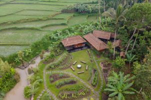 Kappa Senses - Bali