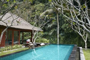 Mandapa, a Ritz-Carlton Reserve - One Bedroom Riverfront Pool Villa