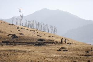 Amankora Gangtey - Valley Trek