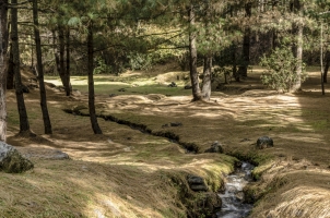 Amankora Paro - Grounds