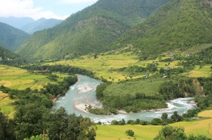 Como Punakha - View