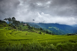 Como Punakha - View