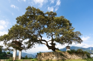 Bhutan - Six Senses Punakha