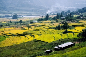 Bhutan - Six Senses Punakha - Valley