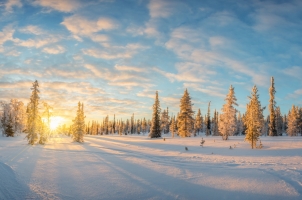 Finland - snowy landscape at sunset
