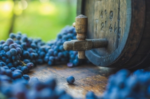 France - Wine barrel