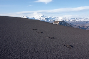 Iceland - Lava Sand