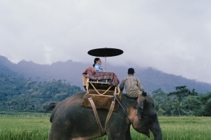Indonesia - Jiwo Elephant Ride