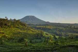 Indonesia - ricefields mount agung