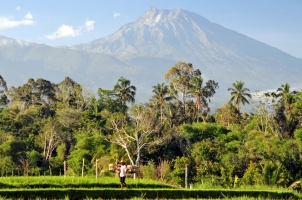 Indonesia - Rinjani volcano Lombok