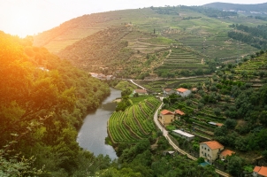 Portugal - view of river and the vineyards