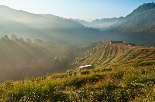 Thailand -  doi Ang khang
