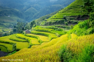 Vietnam -  Ha Giang