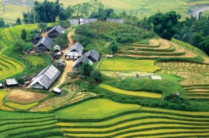 Vietnam - Sapa - Tavan hill tribe village