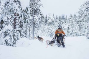 finnland-Reindeer-Manor-bawa-tours-travelPorohovi-Winter-2023