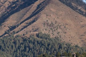 bhutan-gangtey-lodge-bawa-tours-travel-view