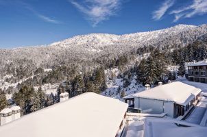 Griechenland - Grand Forest Metsovo