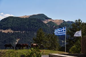 Griechenland - Grand Forest Metsovo