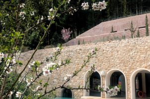 Euphoria Retreat - Outdoor Pool Garden