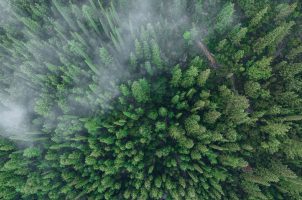 Euphoria Retreat - Aerial view