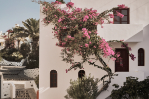 Vedema Santorini
