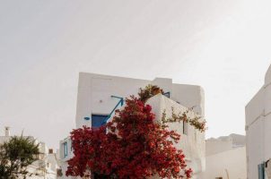 greece-gundari-folegandros-bawa-tours-travel-cityview-1