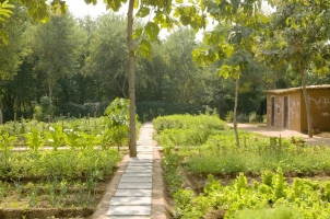 Aman-I-Khas - Organic Garden