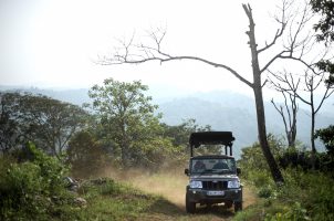 india-the-evolve-back-coorg-bawa-tours-travel-Elk-Hill-4X4-3