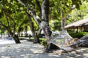Amanwana - Guest in Hammock