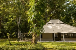Amanwana - Jungle Tent