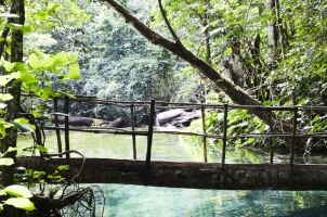 Amanwana - Waterfall excursion