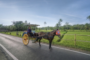 Amanjiwo - Andong Horse and Cart
