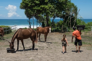 Nihi Sumba - Kids Pony Club