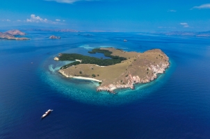 Samata Cruise - Komodo