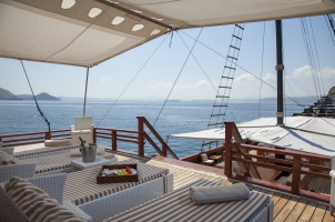 Samata Cruise