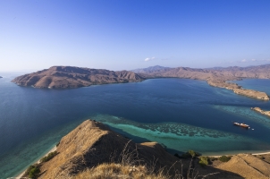 View Point