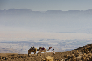 Six Senses Shaharut Israel