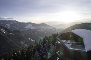 @ FORESTIS