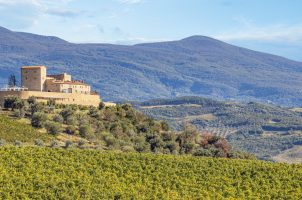 Italy_Castello_di_Velona_bawa_tours_travel_facade-3