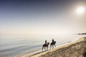 Masseria Torre Maizza Puglia, a Rocco Forte Hotel