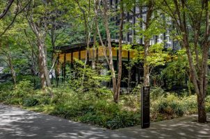 Aman Tokyo - Garden