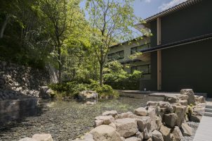 japan-banyan-tree-higashiyama-kyoto-bawa-tours-travel–-garden–-2024-DSF9731