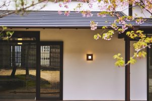 Azumi_Bawa_Tours_Travel_Garden-2