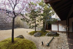 Azumi_Bawa_Tours_Travel_Garden