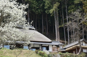 Sasayuri Ann - Villa