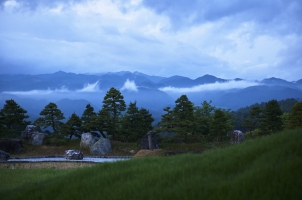 Sasayuri Ann - stone garden