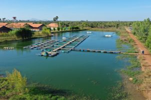 Farmhouse Resort & Spa